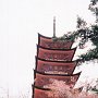 Miyajima Island, Japan